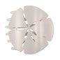 Teleties Sand Dollar-Med