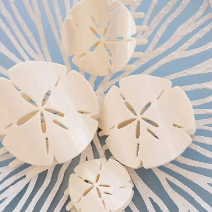 Teleties Sand Dollar-Med